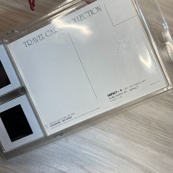 Petrified Forest Dick Dietrich Slides Lot x 20 Vintage Finley Holiday Films 1983 - Picture 2 of 6